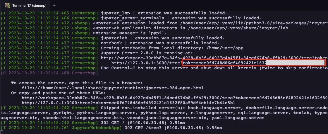 Terminal output with your notebook token