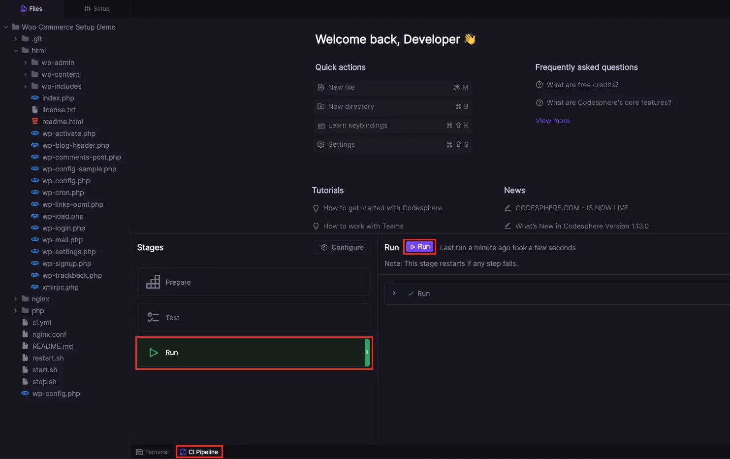 CI Pipelines